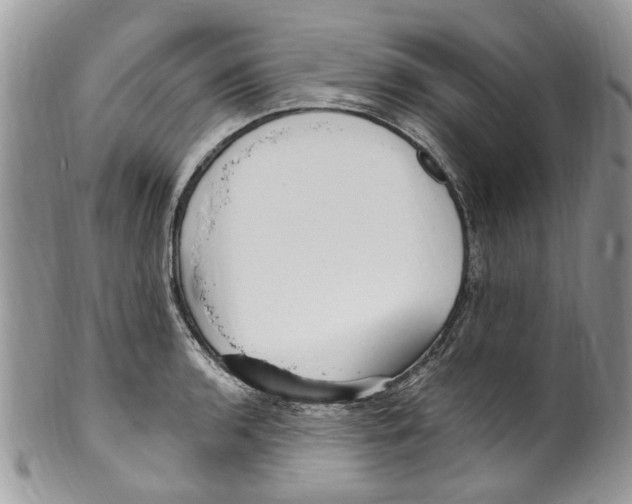 X0000099971136200806131526