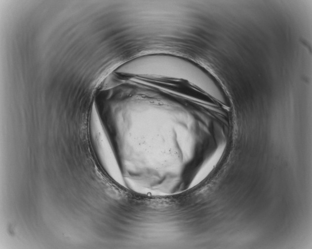 X0000099971137200806131526