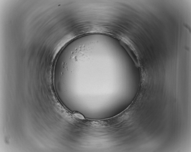 X0000099971138200806131526