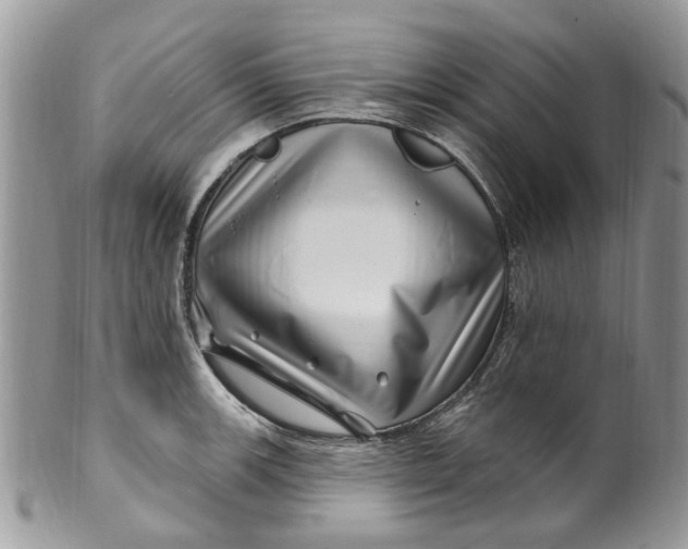 X0000099971139200806131526