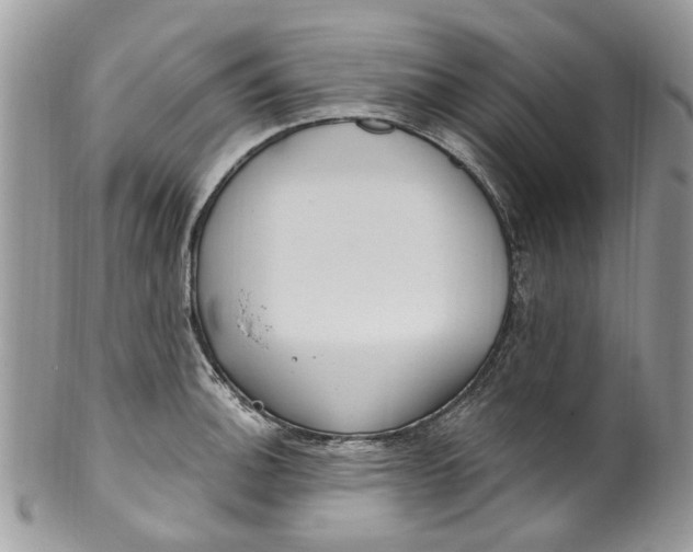 X0000099971140200806131526