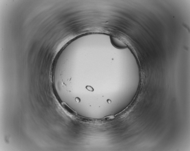 X0000099971141200806131526