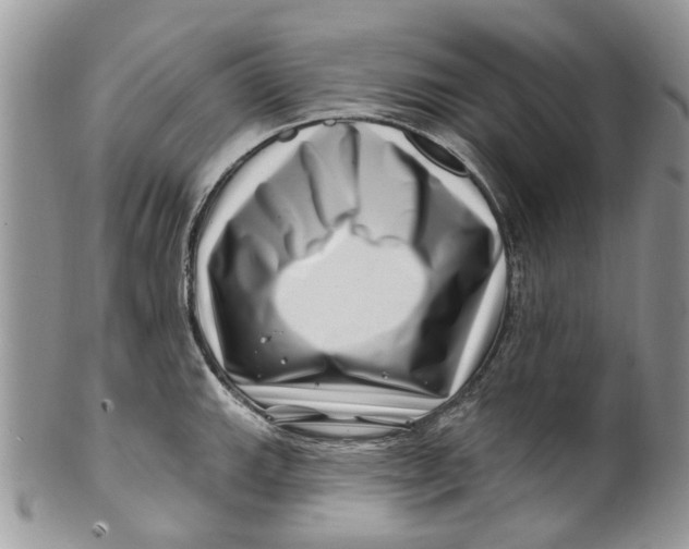 X0000099971143200806131526