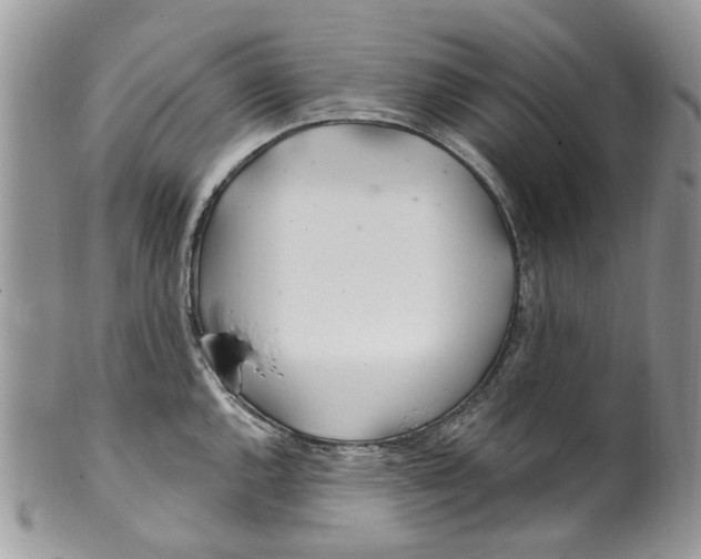 X0000099971144200806131526