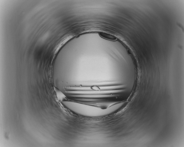 X0000099971145200806131526