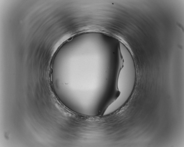 X0000099971146200806131526