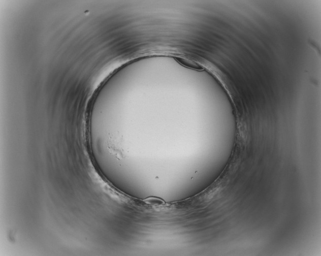 X0000099971147200806131526