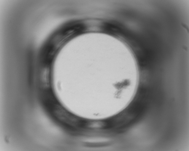 X0000099971150200806131526