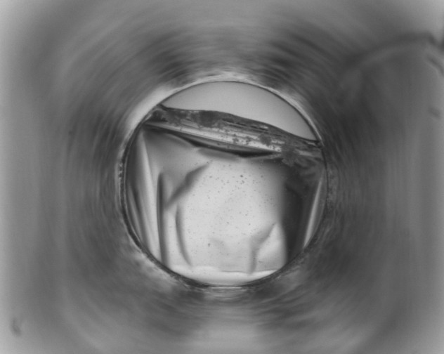 X0000099971151200806131526