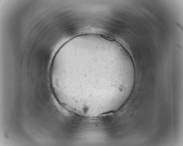 X0000099971152200806131526