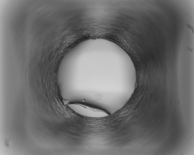 X0000099971153200806131526