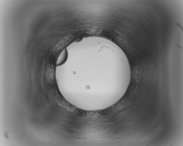 X0000099971154200806131526