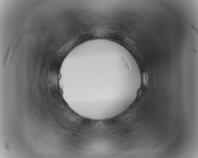 X0000099971155200806131526