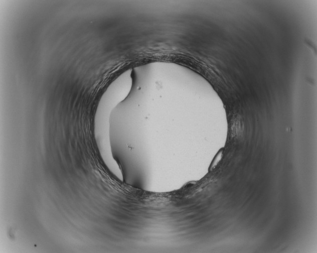 X0000099971156200806131526