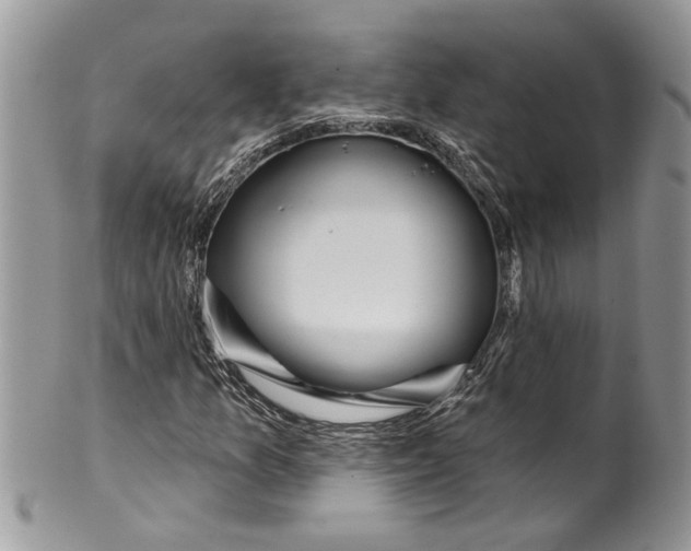 X0000099971157200806131526