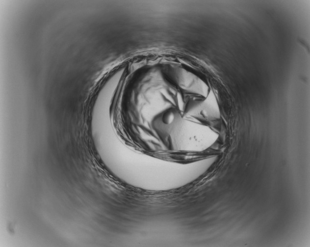 X0000099971160200806131526