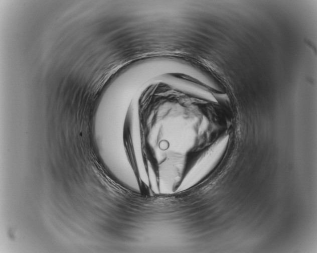 X0000099971161200806131526