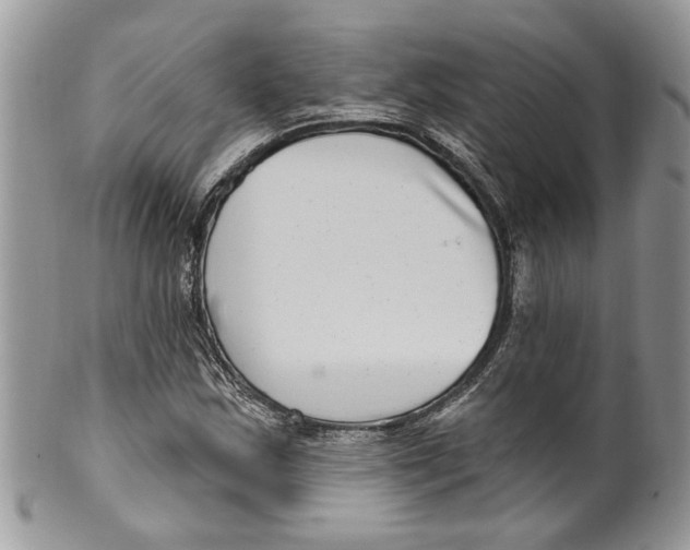 X0000099971163200806131526