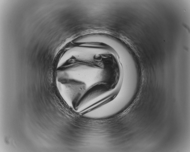 X0000099971165200806131526