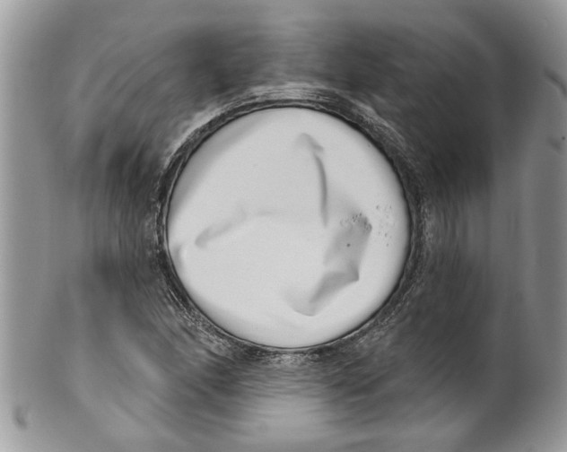 X0000099971166200806131526