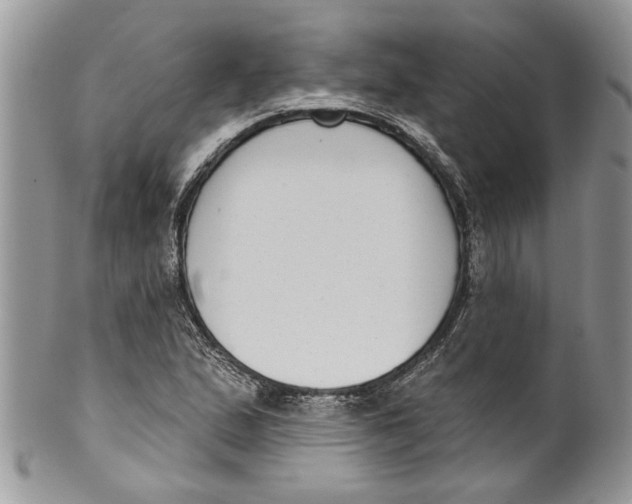 X0000099971167200806131525