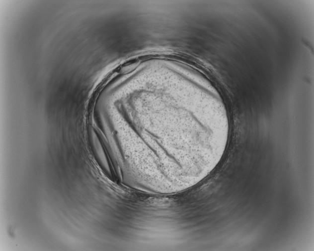 X0000099971168200806131525