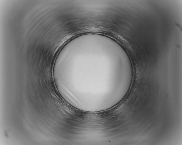 X0000099971170200806131525