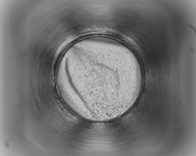 X0000099971172200806131525