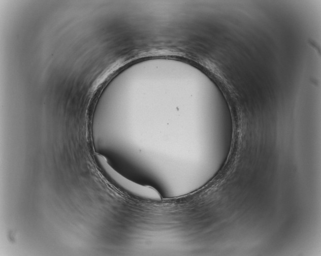 X0000099971173200806131525