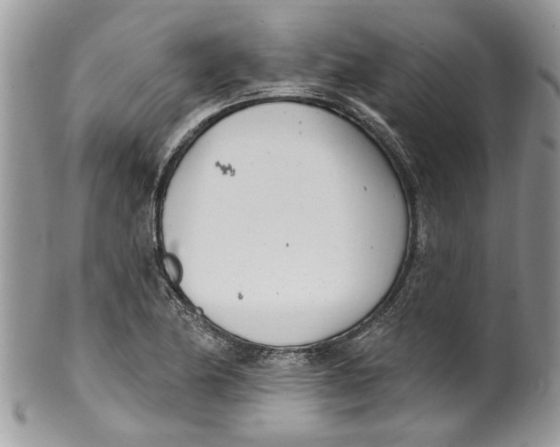 X0000099971174200806131525