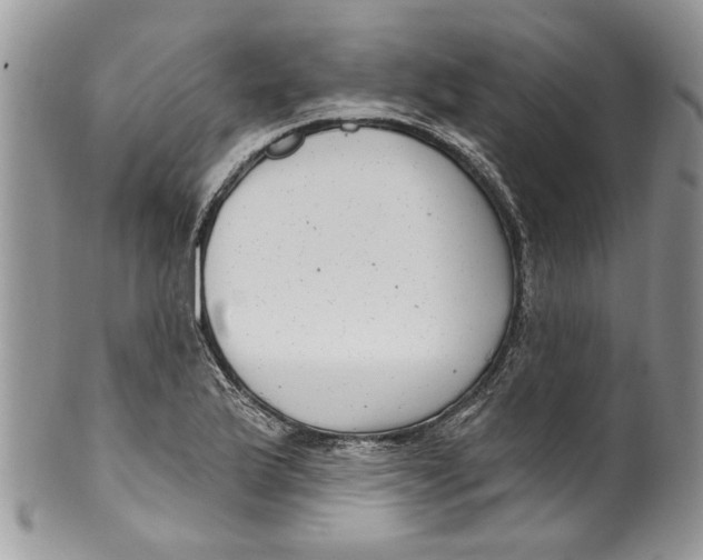 X0000099971175200806131525