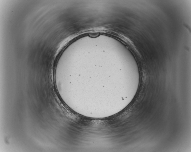 X0000099971176200806131525