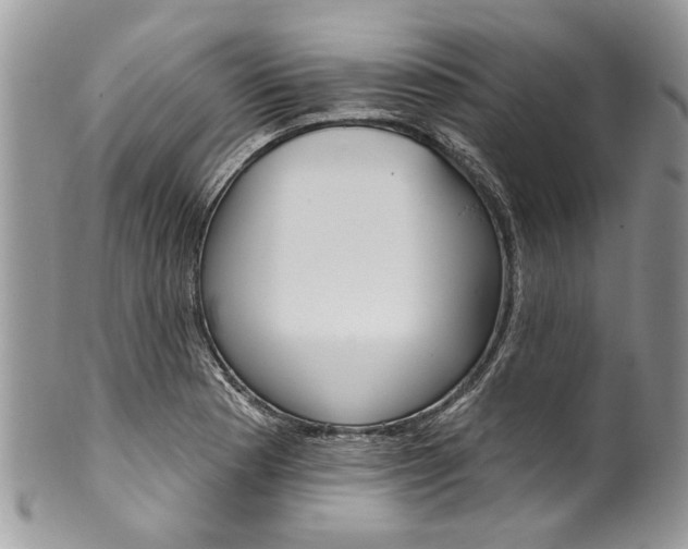 X0000099971177200806131525