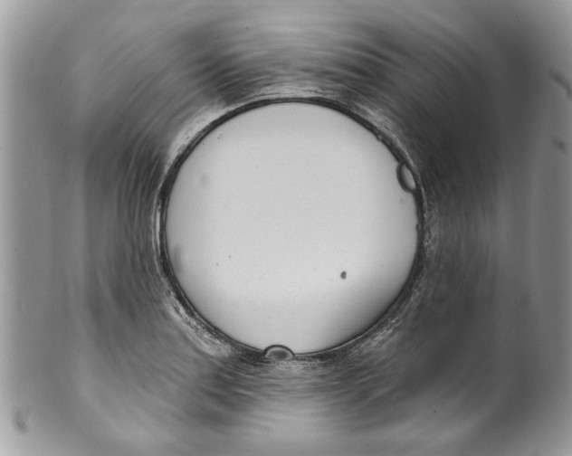 X0000099971179200806131525