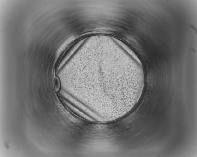 X0000099971180200806131525