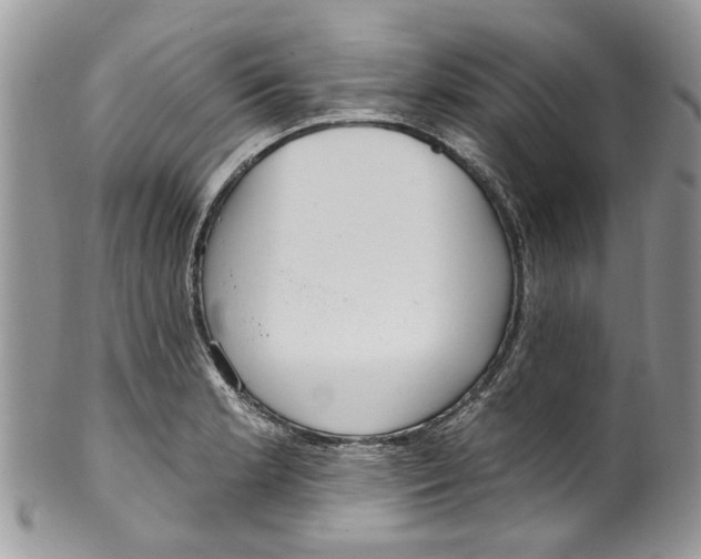 X0000099971181200806131525