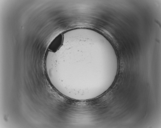 X0000099971182200806131525