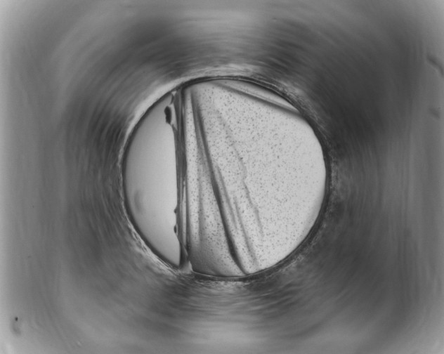 X0000099971184200806131525