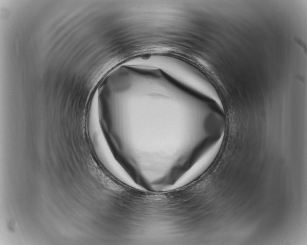 X0000099971186200806131525