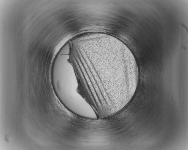 X0000099971188200806131525