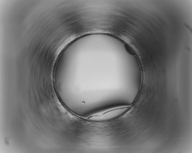 X0000099971189200806131525