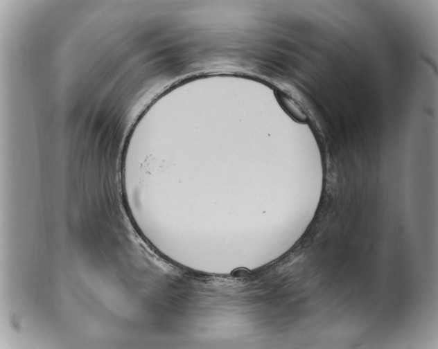 X0000099971191200806131525