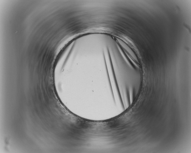 X0000099971192200806131525