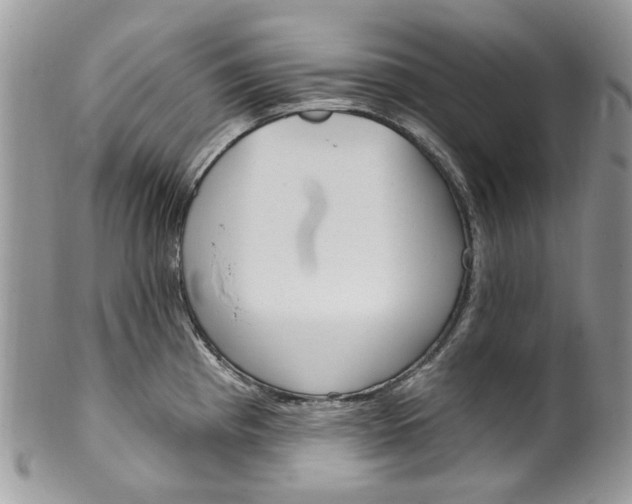 X0000099971193200806131525