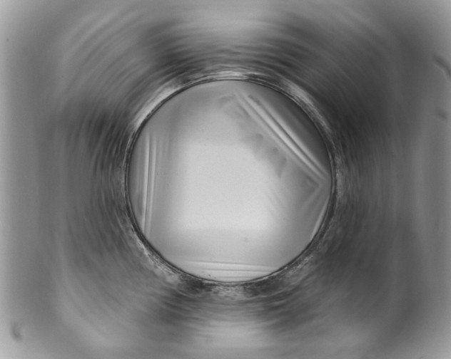 X0000099971194200806131525