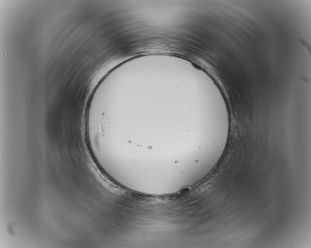 X0000099971195200806131525