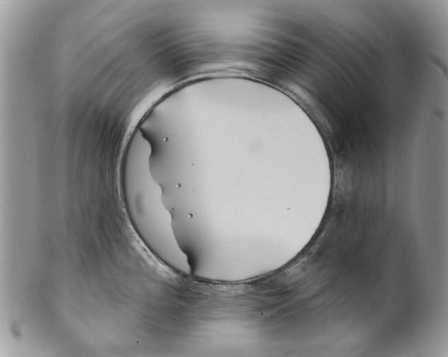 X0000099971196200806131525