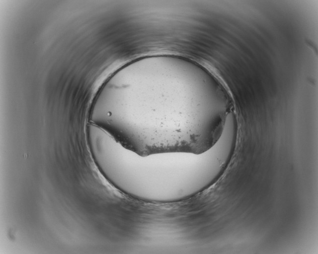 X0000099971197200806131525