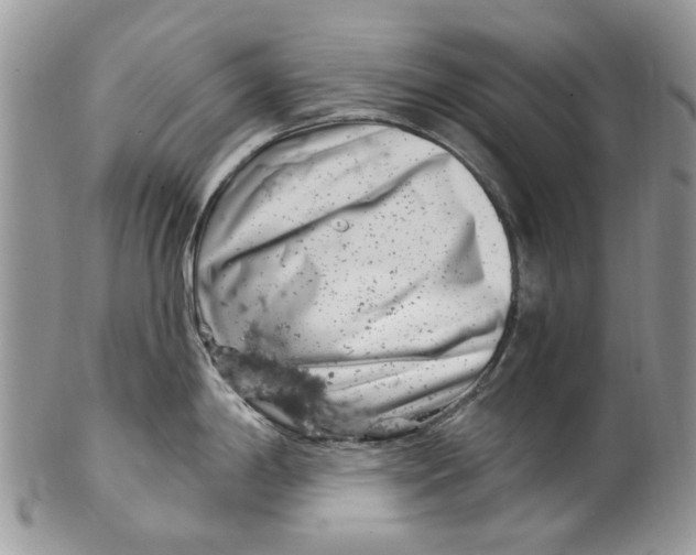 X0000099971198200806131525