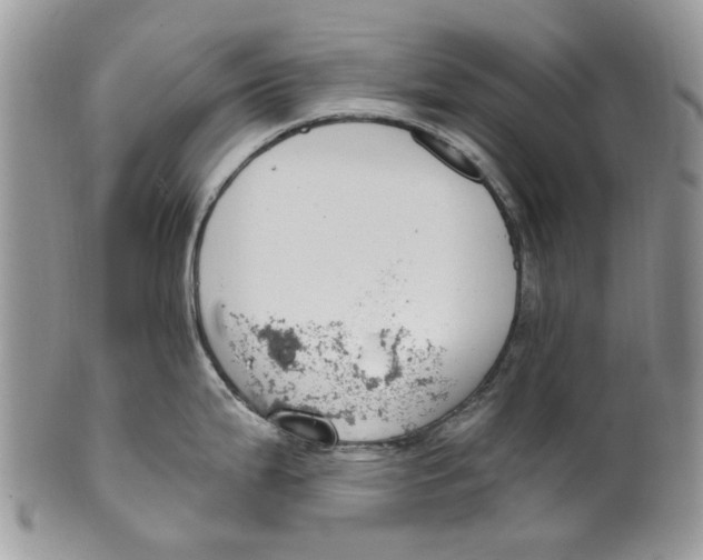 X0000099971199200806131525